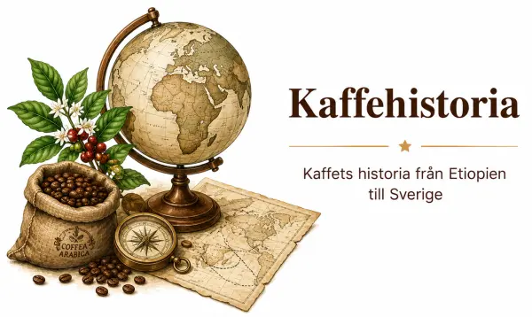 Historisk illustration av kaffeväxt och gamla kartor som visar kaffets resa genom världen.